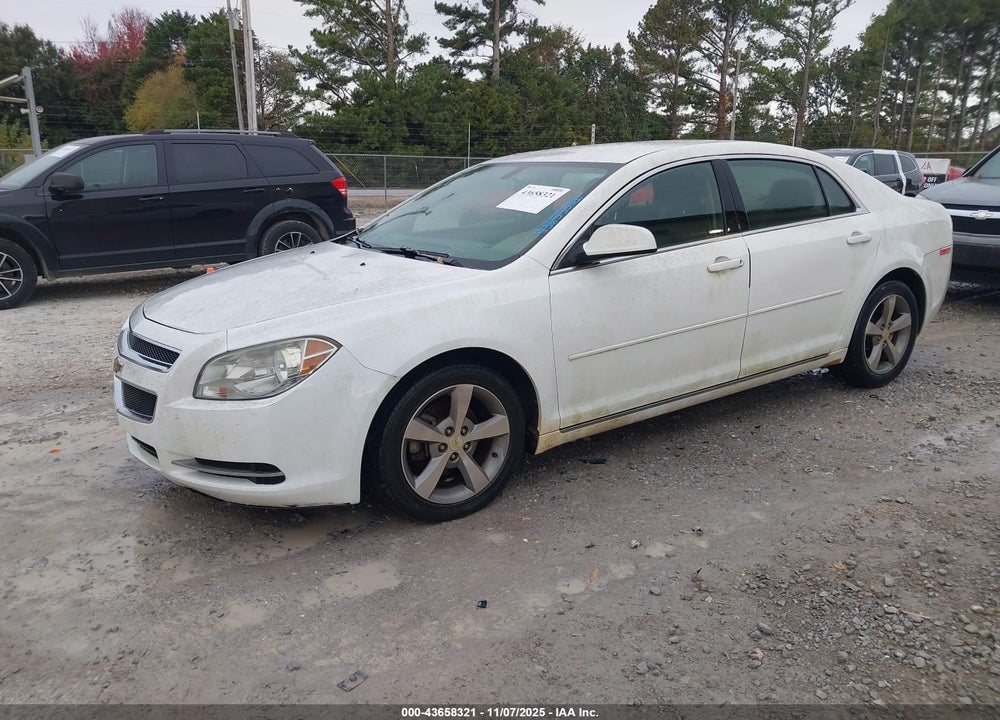 2011 CHEVROLET MALIBU VIN: 1G1ZC5E13BF279790