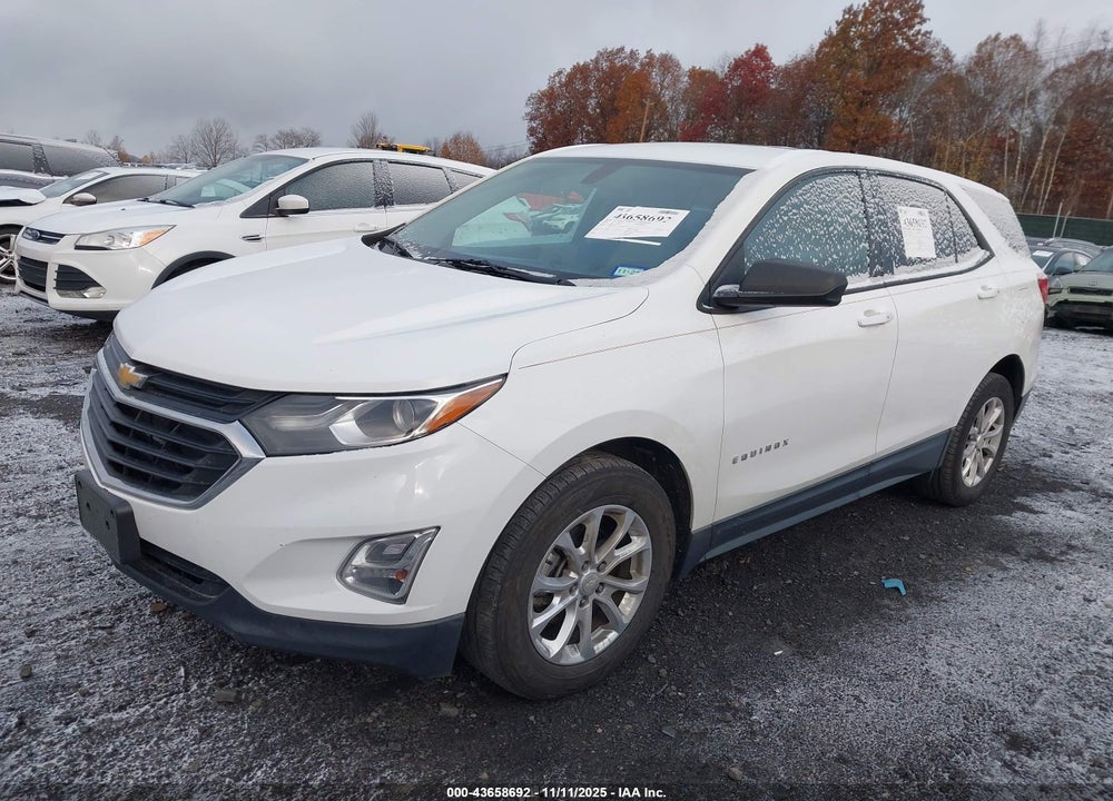 2019 CHEVROLET EQUINOX LS VIN: 3GNAXHEV8KS504723