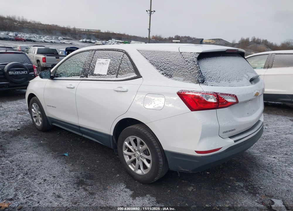2019 CHEVROLET EQUINOX LS VIN: 3GNAXHEV8KS504723