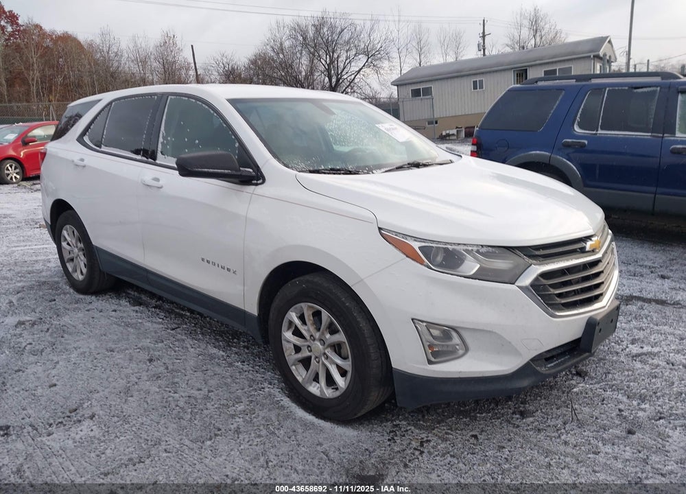 2019 CHEVROLET EQUINOX LS VIN: 3GNAXHEV8KS504723