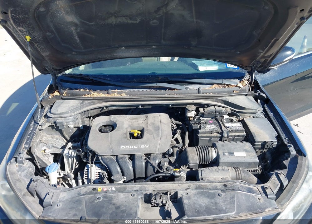 2017 HYUNDAI ELANTRA VIN: 5NPD84LF3HH003541