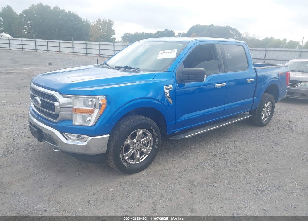 2021 FORD F-150 XLT VIN: 1FTFW1E55MFB60428