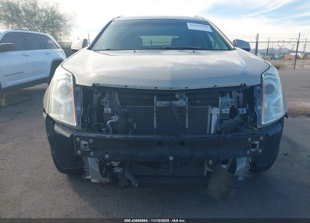2012 CADILLAC SRX LUXURY COLLECTION VIN: 3GYFNAE32CS502570