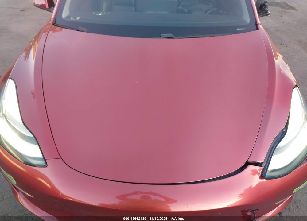 2019 TESLA MODEL 3 VIN: 5YJ3E1EB6KF387284