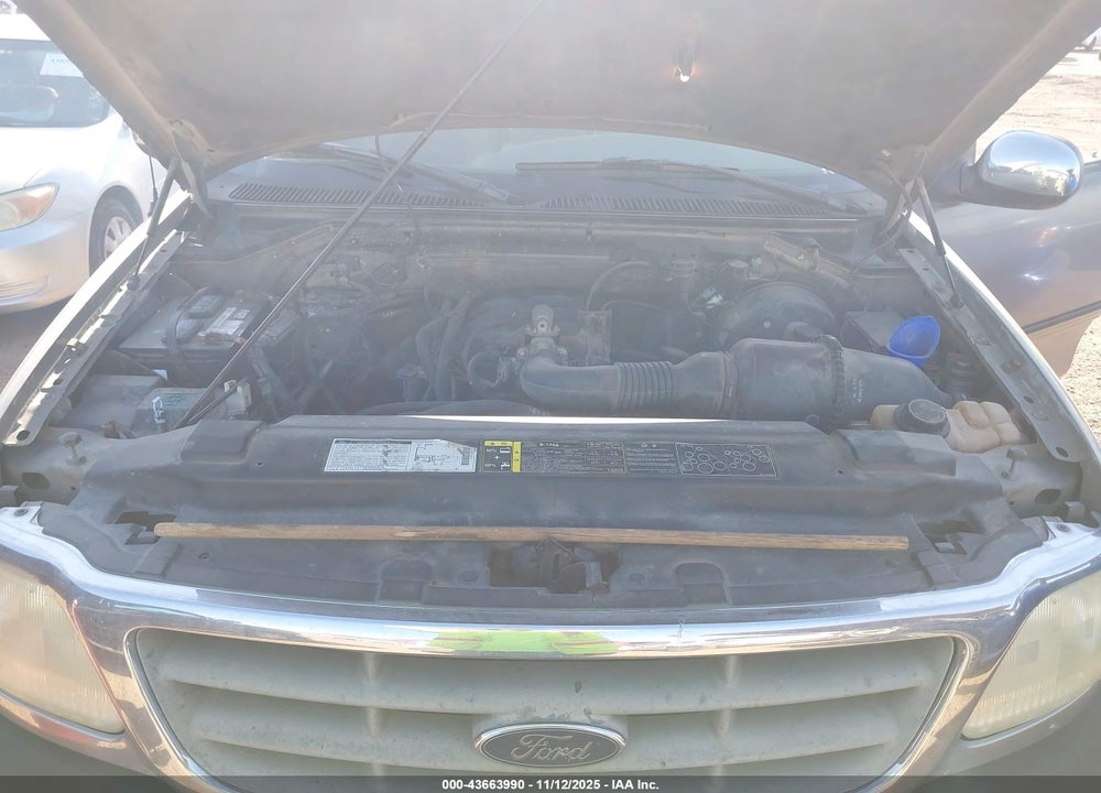 2002 FORD F-150 XL/XLT VIN: 1FTRX17262NA11462