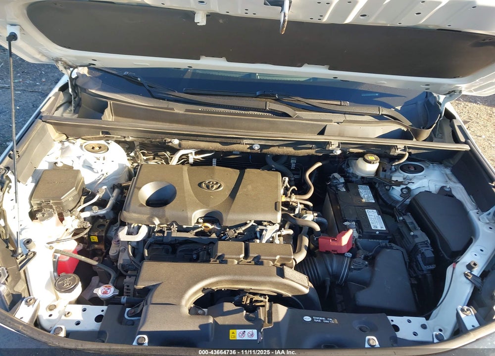 2021 TOYOTA RAV4 XLE VIN: 2T3P1RFV6MC161443