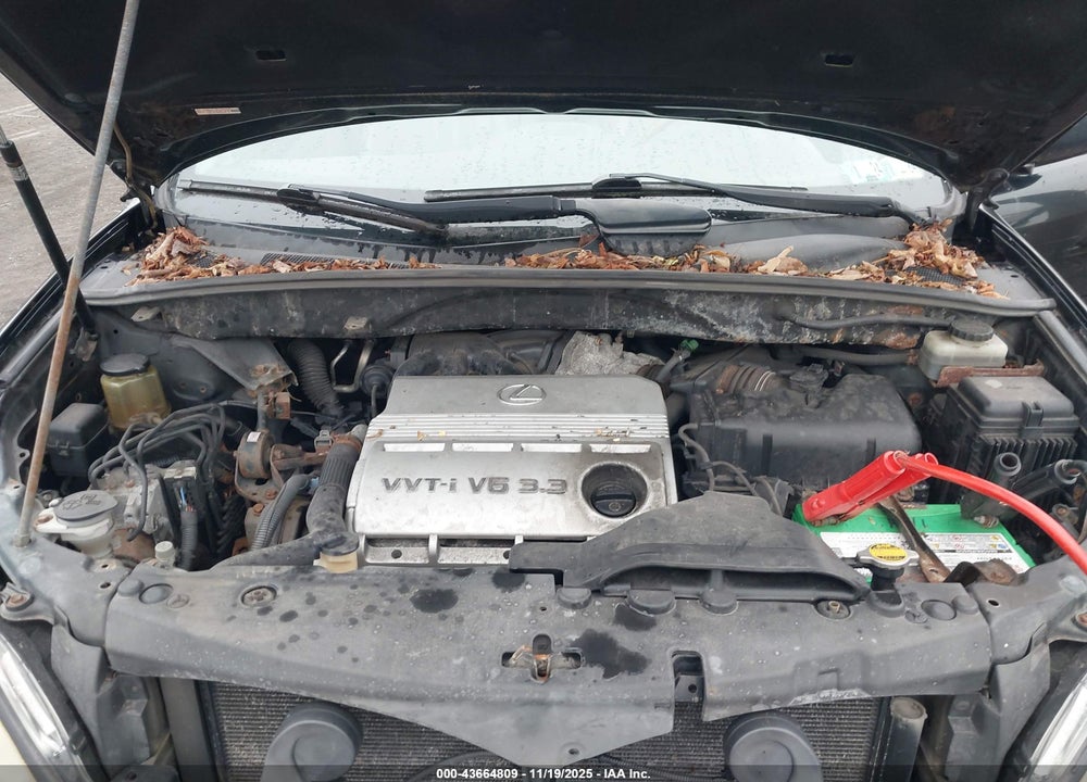 2004 LEXUS RX 330 VIN: JTJHA31U540015664