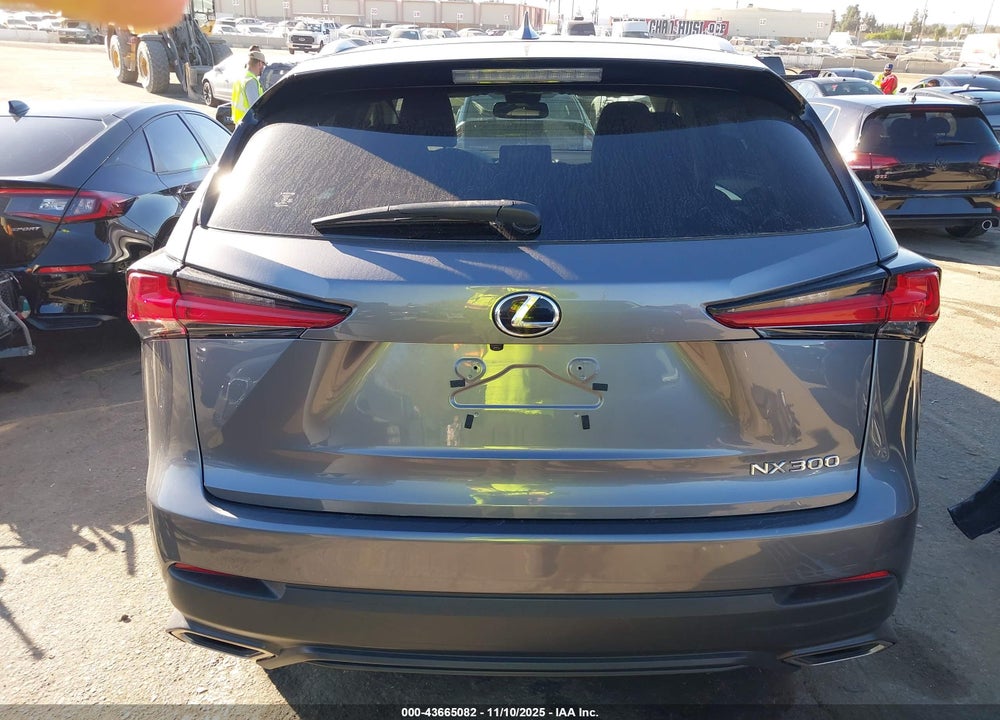 2019 LEXUS NX 300 VIN: JTJYARBZ4K2122283