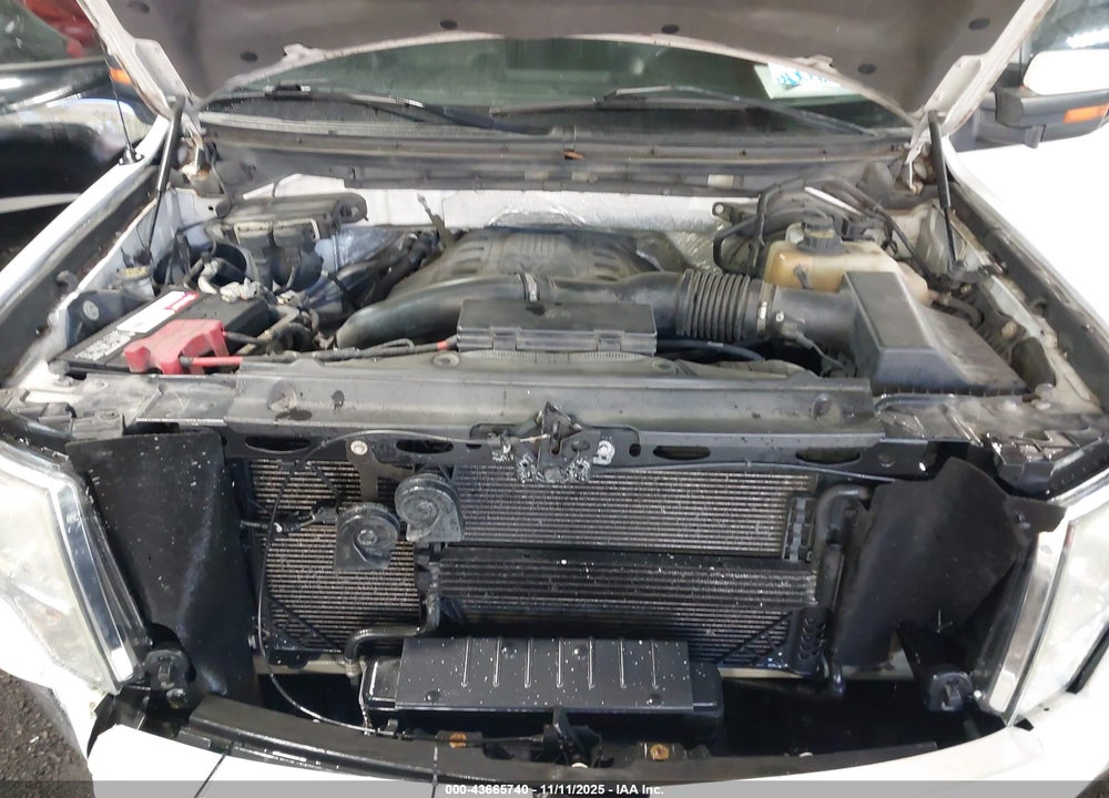 2011 FORD F-150 VIN: 1FTFW1ET5BFC75607
