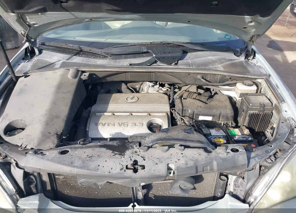 2006 LEXUS RX 330 VIN: JTJGA31U860064632