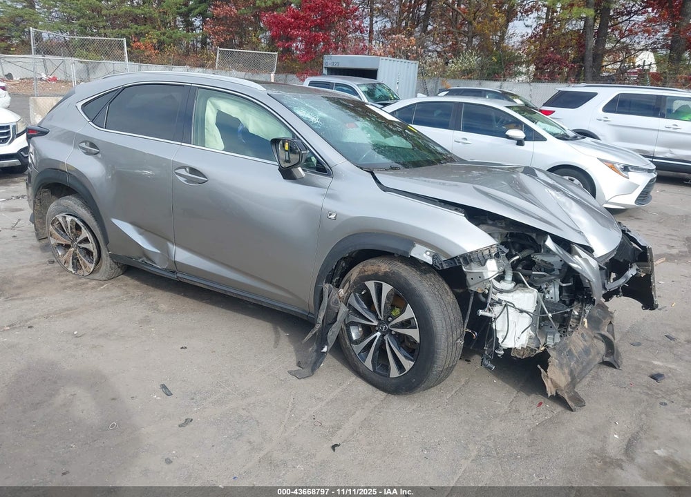 2020 LEXUS NX 300 F SPORT VIN: JTJSARDZ6L2231378