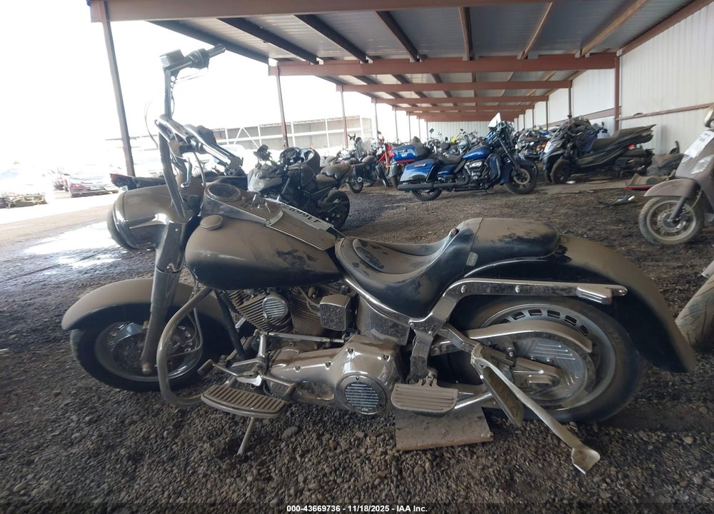 1991 HARLEY-DAVIDSON FLSTF VIN: 1HD1BML33MY015495