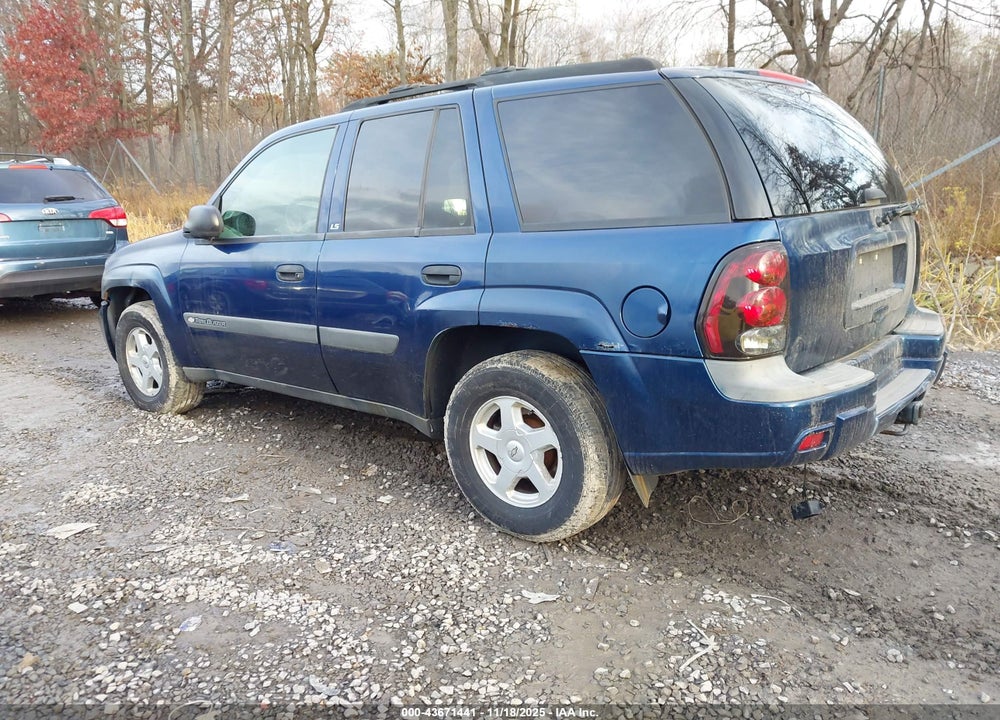 2003 CHEVROLET TRAILBLAZER LS VIN: 1GNDT13S332411808