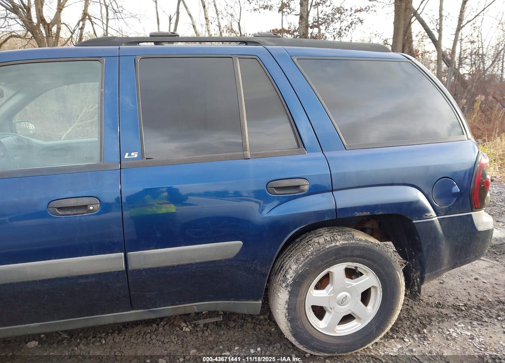 2003 CHEVROLET TRAILBLAZER LS VIN: 1GNDT13S332411808