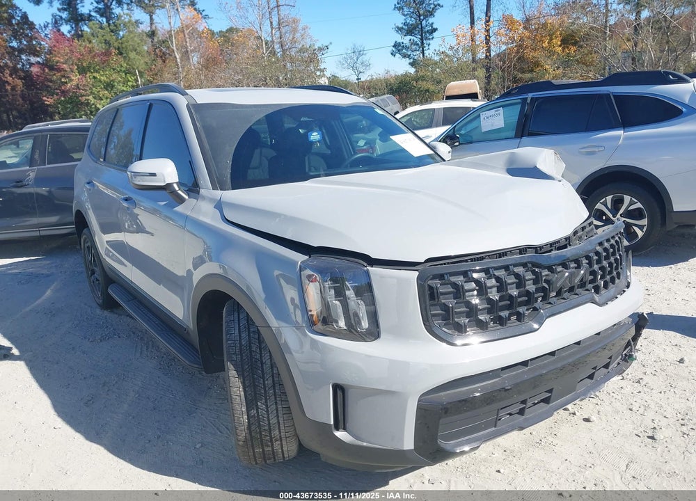2025 KIA TELLURIDE EX X-LINE VIN: 5XYP3DGC0SG594969