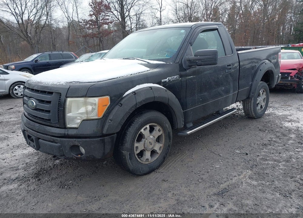 2009 FORD F-150 VIN: 1FTRF14859KB66947