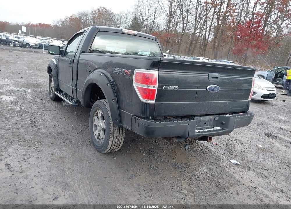 2009 FORD F-150 VIN: 1FTRF14859KB66947