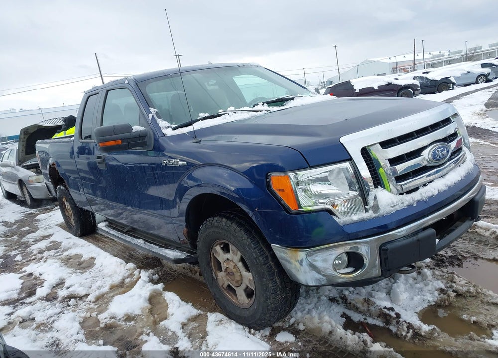 2010 FORD F-150 STX/XL/XLT VIN: 1FTEX1E85AFB97140