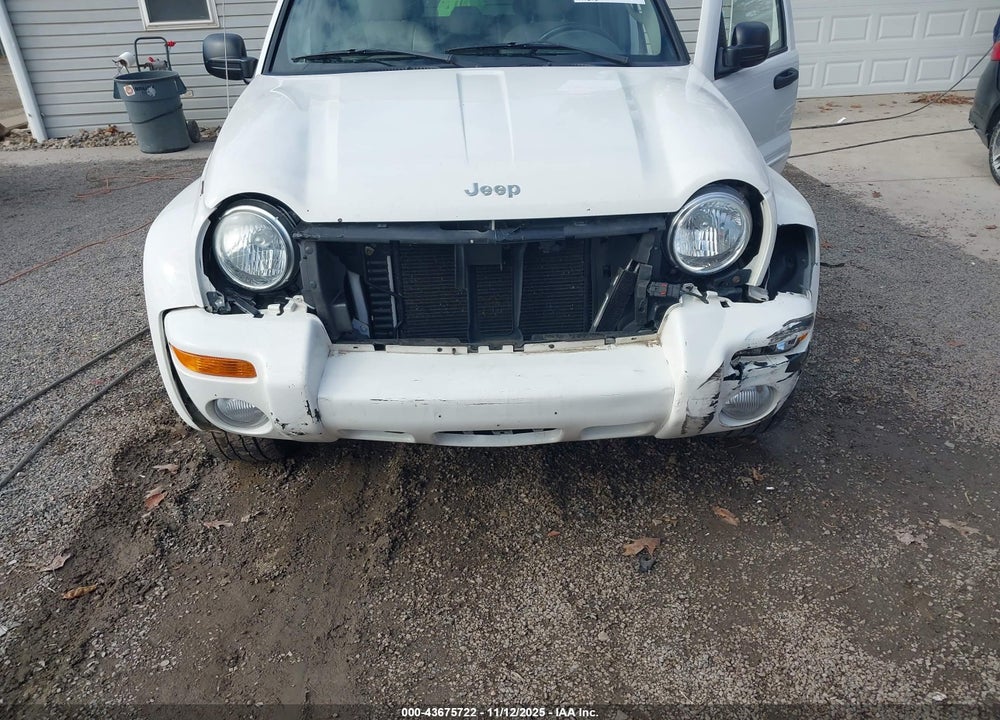 2002 JEEP LIBERTY LIMITED EDITION VIN: 1J4GL58K42W367762