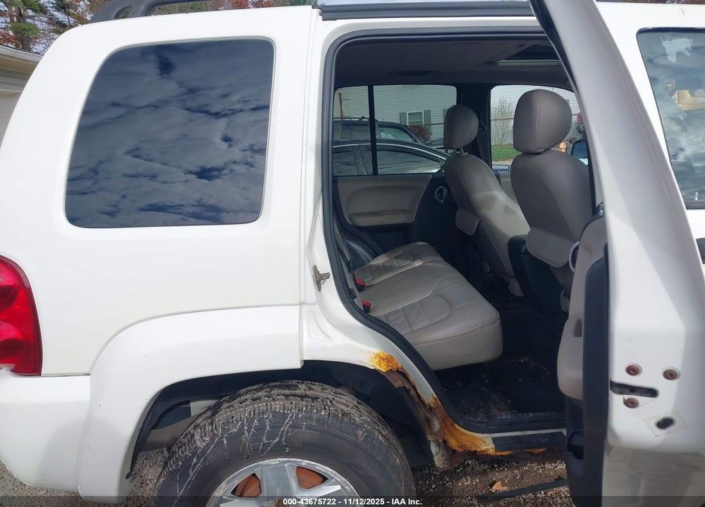 2002 JEEP LIBERTY LIMITED EDITION VIN: 1J4GL58K42W367762