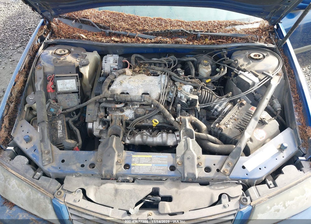 2005 CHEVROLET IMPALA VIN: 2G1WF52E559158659