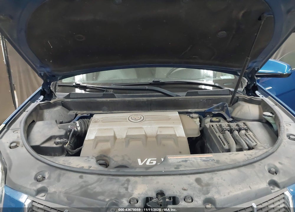 2010 CADILLAC SRX LUXURY COLLECTION VIN: 3GYFNDEY3AS548533