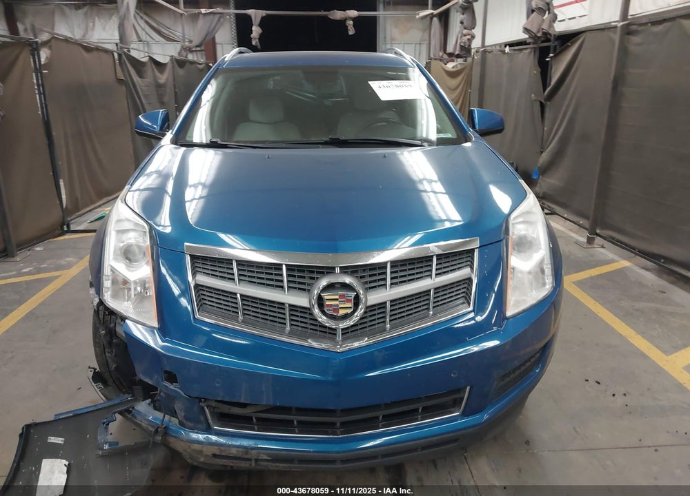 2010 CADILLAC SRX LUXURY COLLECTION VIN: 3GYFNDEY3AS548533