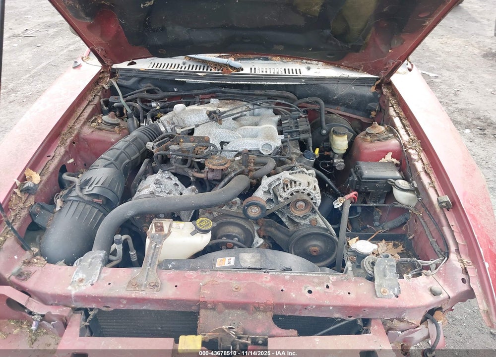 2004 FORD MUSTANG VIN: 1FAFP40654F189917