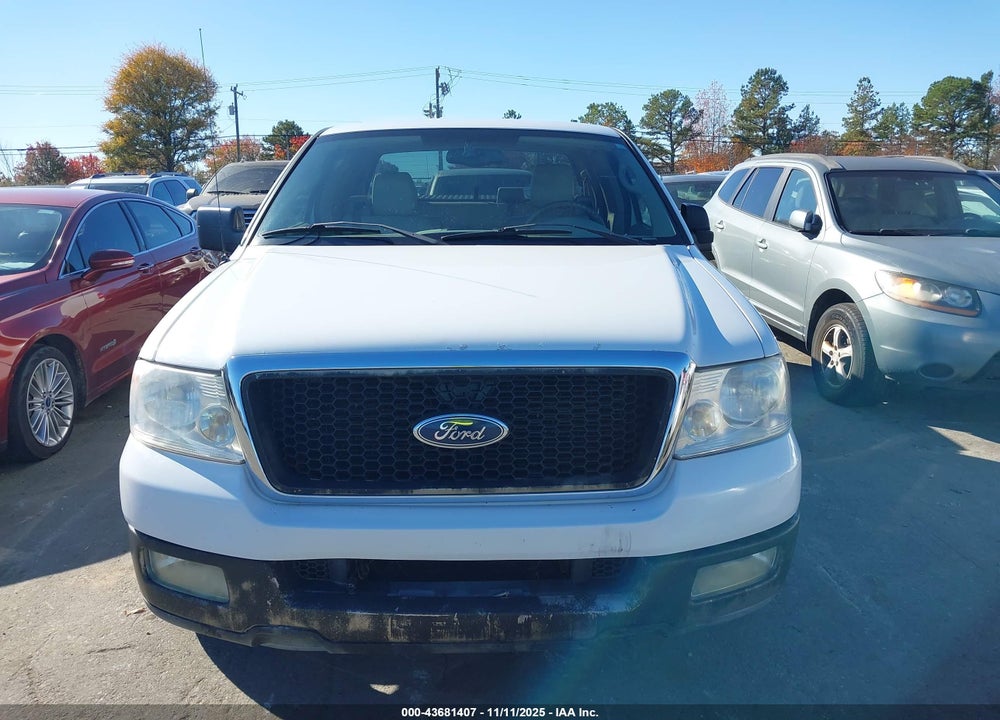 2004 FORD F-150 LARIAT/XL/XLT VIN: 1FTPX12534NA90942