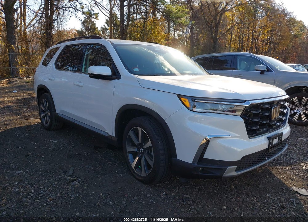 2025 HONDA PILOT ELITE VIN: 5FNYG1H85SB120508