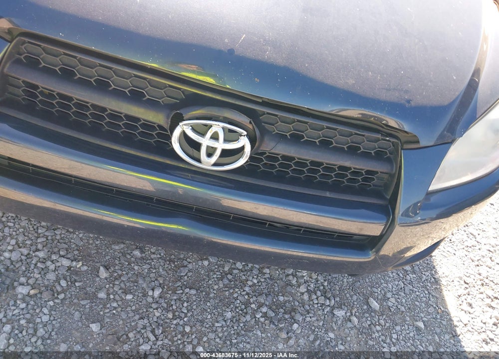 2010 TOYOTA RAV4 VIN: JTMBF4DV1AD029506
