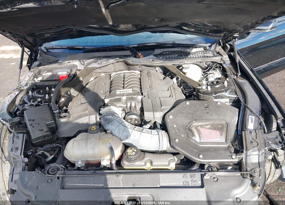2019 FORD MUSTANG VIN: 1FATP8FF6K5151987