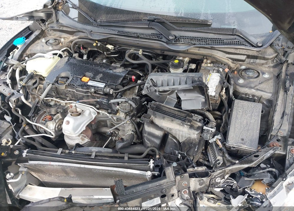 2019 HONDA CIVIC LX VIN: 2HGFC2F61KH530793