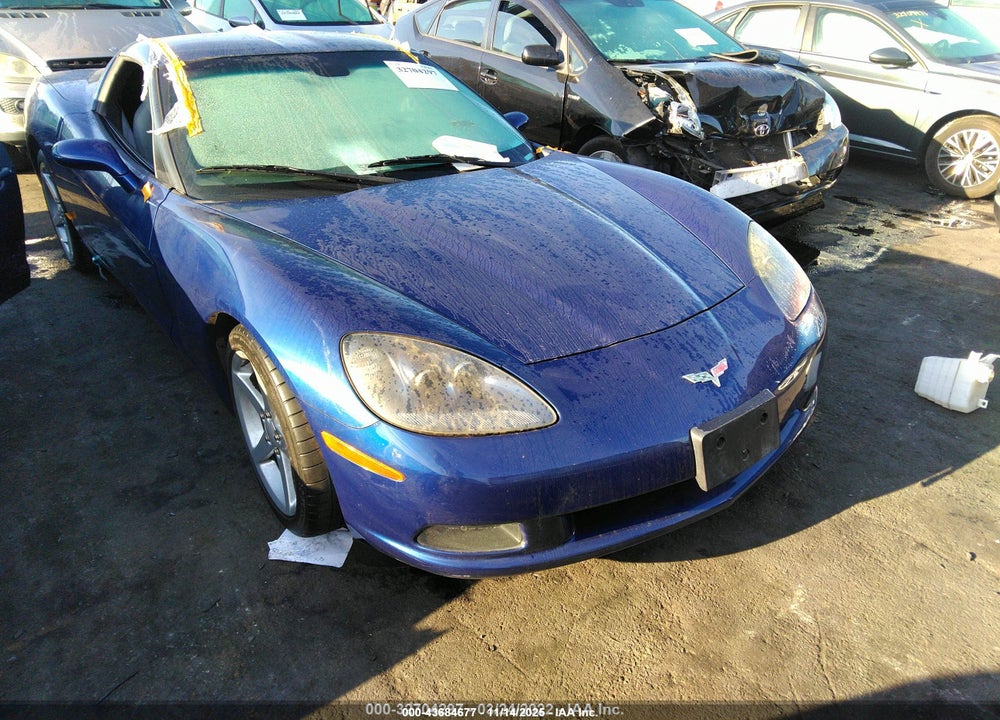 2005 CHEVROLET CORVETTE VIN: 1G1YY24U955113095