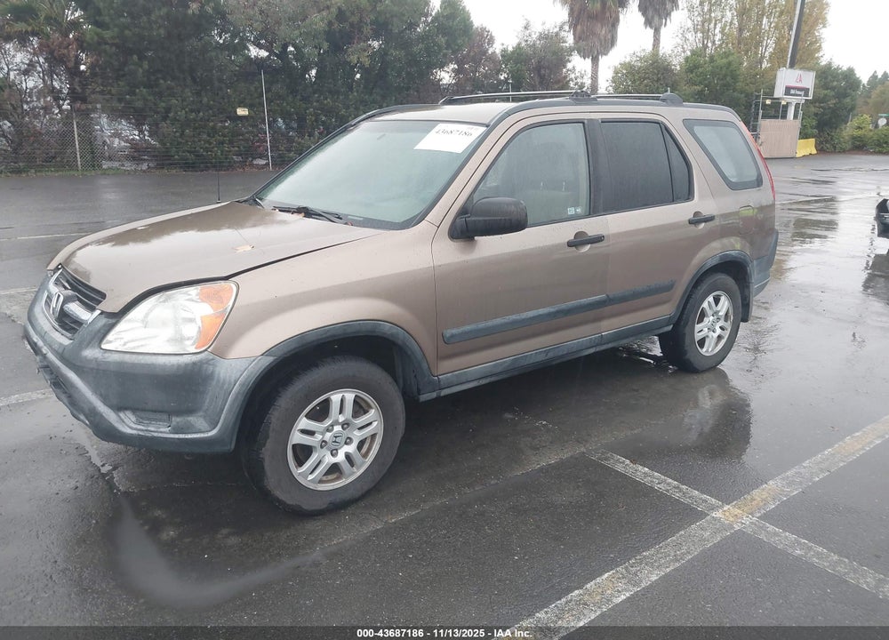2002 HONDA CR-V LX VIN: JHLRD68422C018946