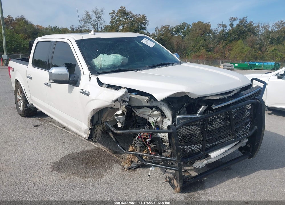 2019 FORD F-150 PLATINUM VIN: 1FTEW1E55KFC60506