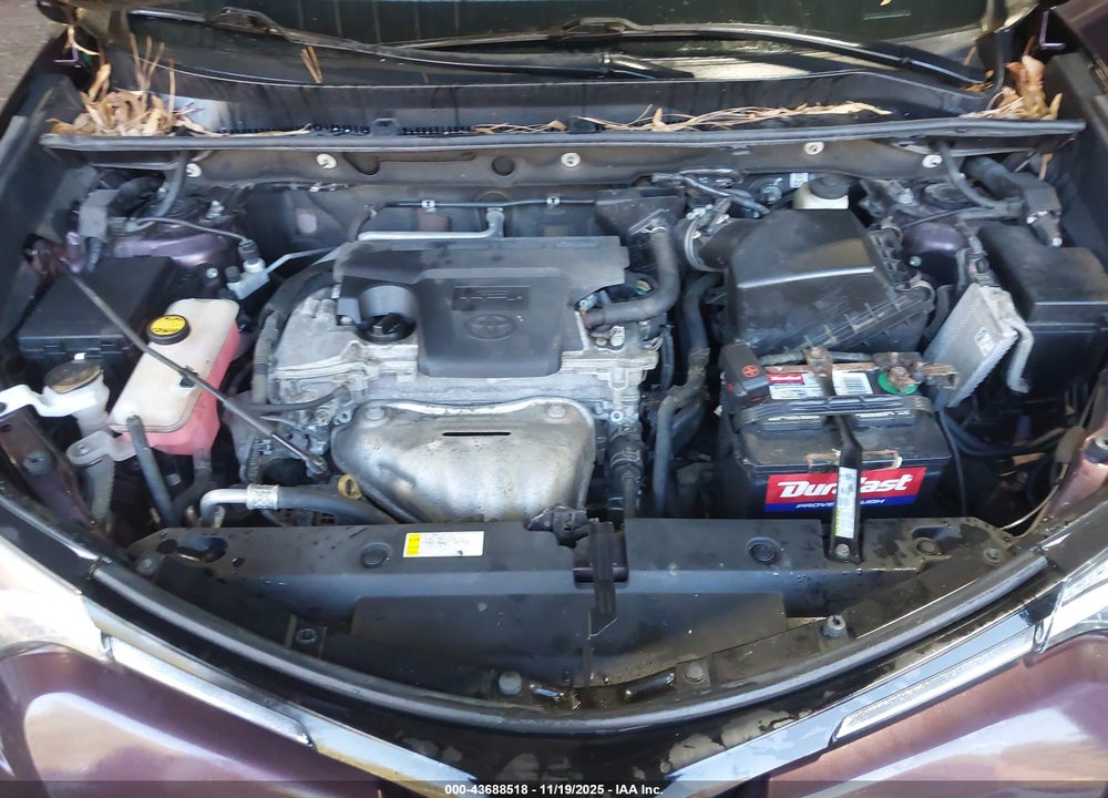 2016 TOYOTA RAV4 XLE VIN: 2T3WFREV0GW284897