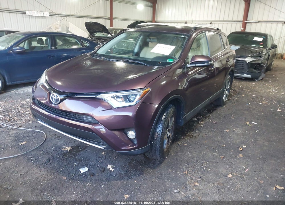 2016 TOYOTA RAV4 XLE VIN: 2T3WFREV0GW284897