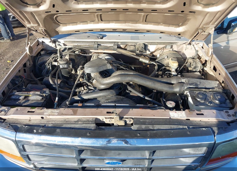 1992 FORD F150 VIN: 1FTEX14N3NKA67989