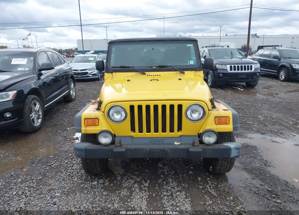 2003 JEEP WRANGLER SPORT VIN: 1J4FA49S03P368171