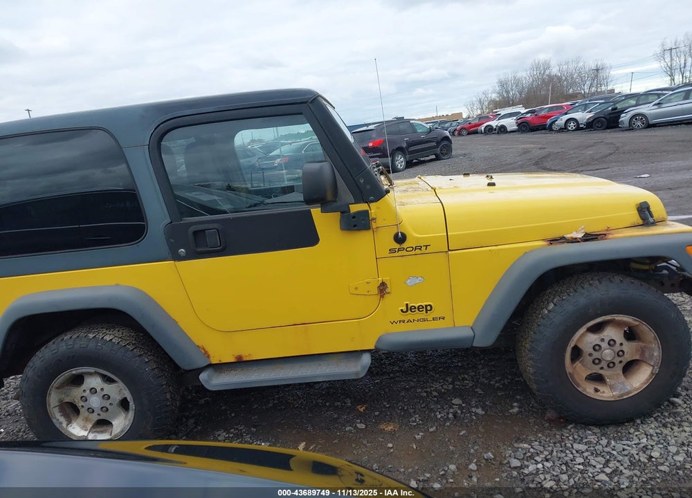 2003 JEEP WRANGLER SPORT VIN: 1J4FA49S03P368171