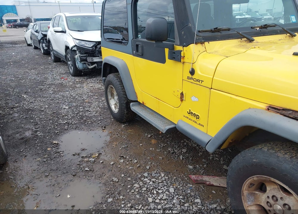 2003 JEEP WRANGLER SPORT VIN: 1J4FA49S03P368171