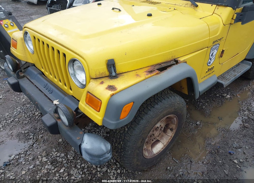 2003 JEEP WRANGLER SPORT VIN: 1J4FA49S03P368171