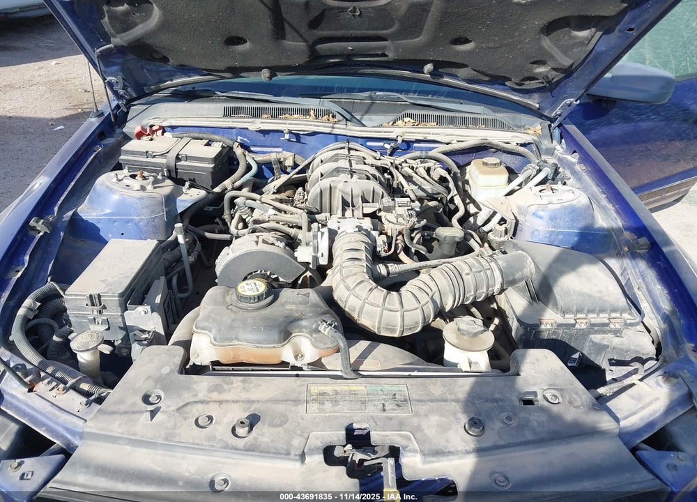 2005 FORD MUSTANG VIN: 1ZVHT84N655194524