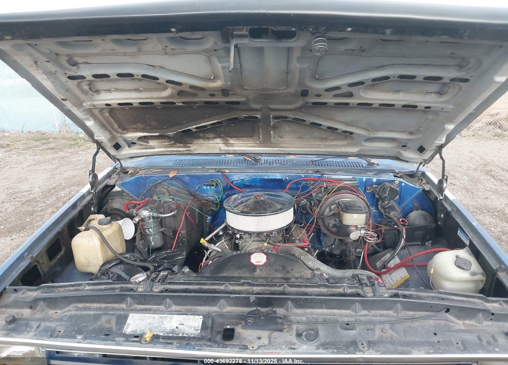 1985 CHEVROLET K10 VIN: 1GCEK14H2FJ102666