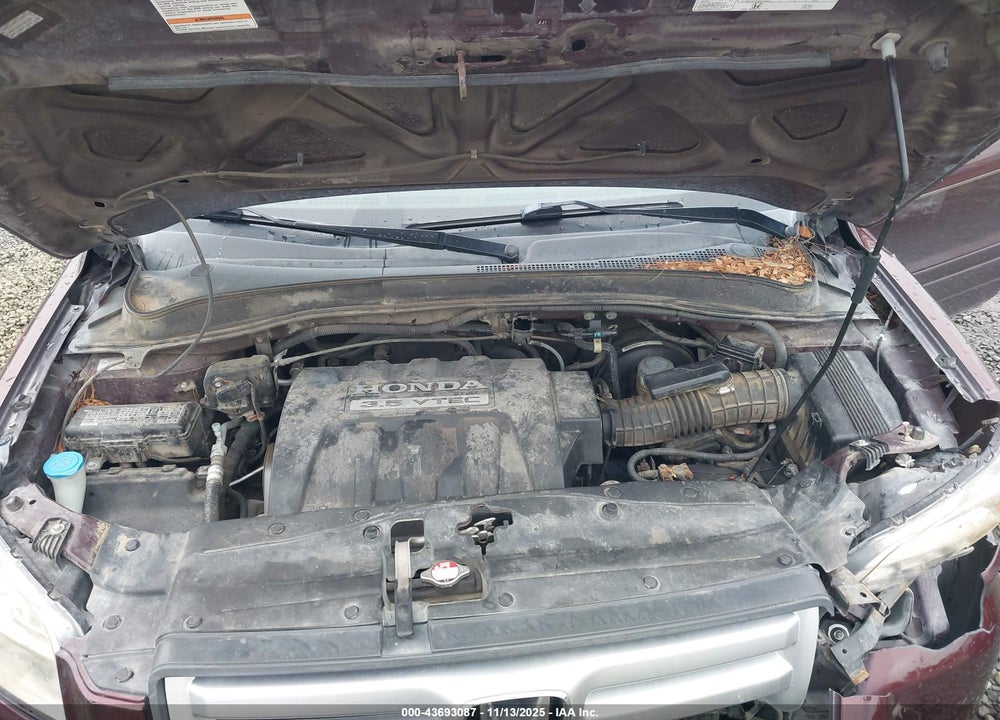 2007 HONDA PILOT EX-L VIN: 2HKYF18637H501509