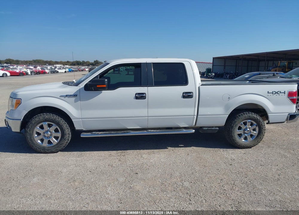 2013 FORD F-150 XLT VIN: 1FTFW1EF1DKF31424