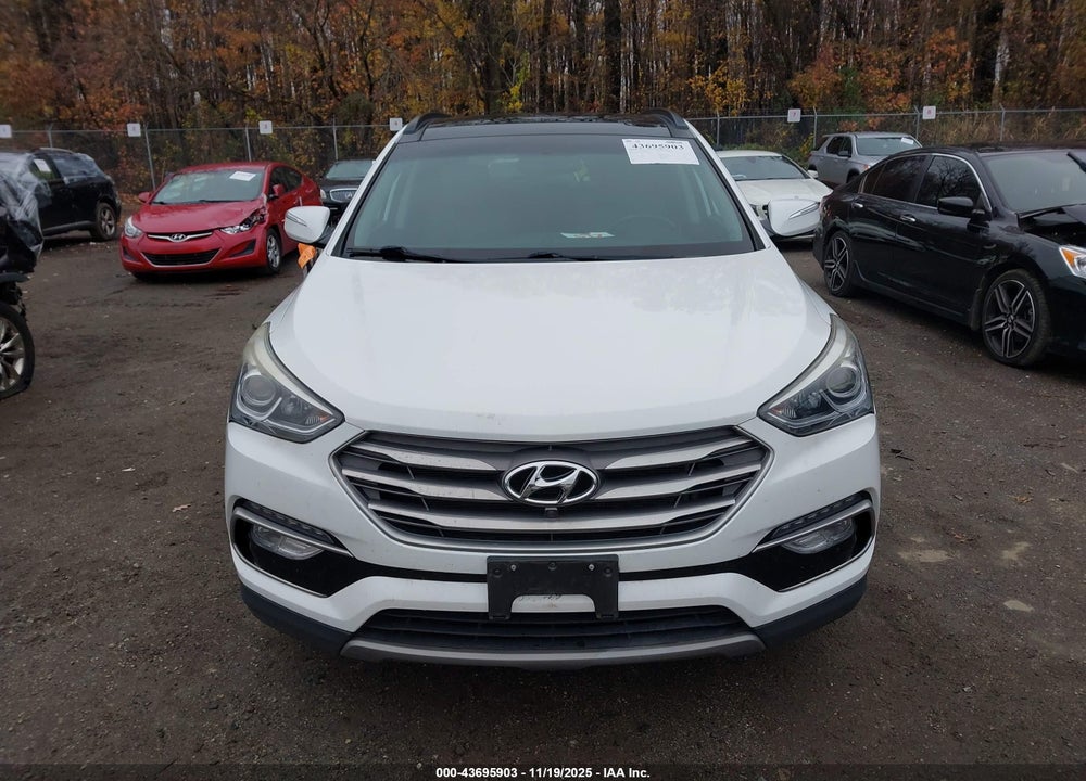 2017 HYUNDAI SANTA FE VIN: 5NMZUDLB4HH034843
