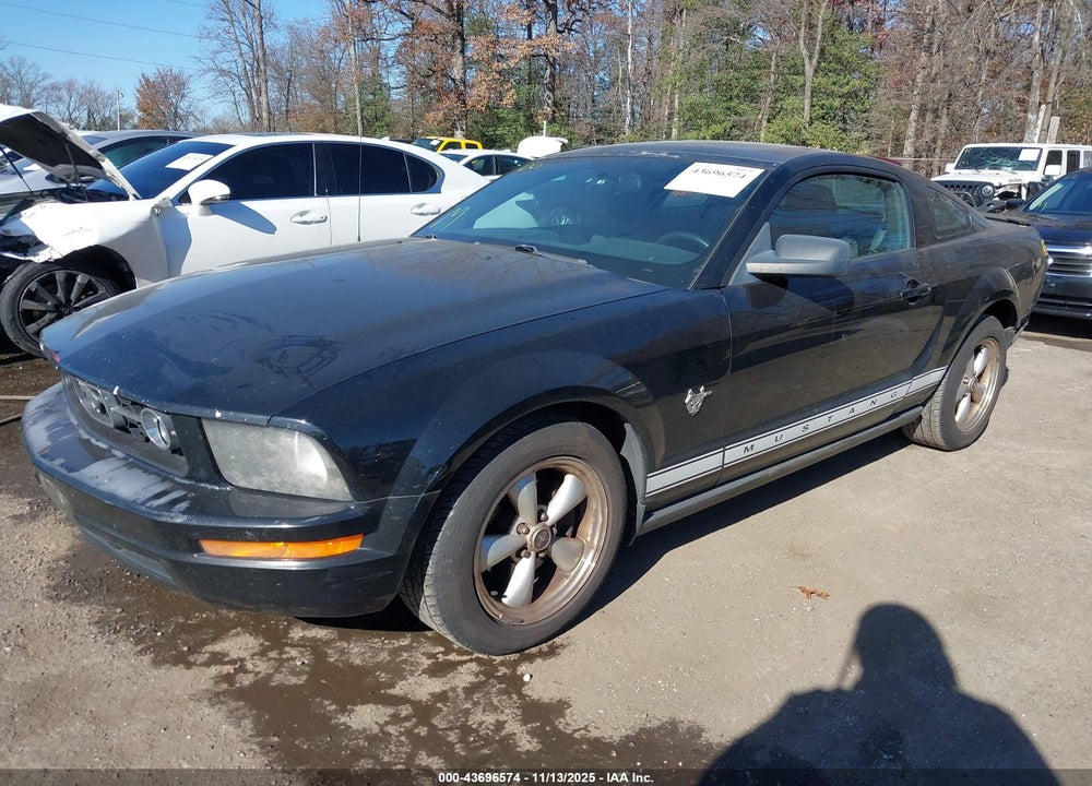 2009 FORD MUSTANG VIN: 1ZVHT80N695139082
