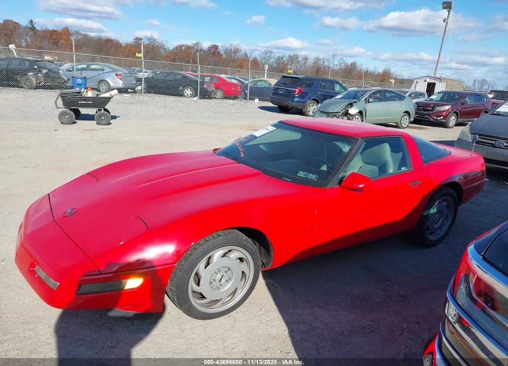 1995 CHEVROLET CORVETTE VIN: 1G1YY22P1S5116193